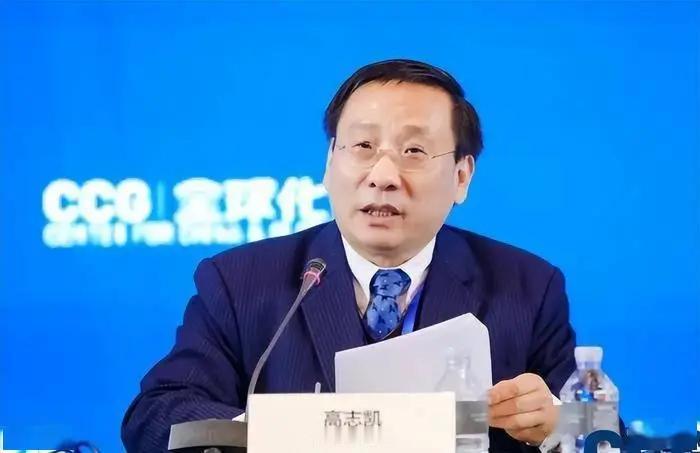 英国一著名主持人曾问高志凯：都说中国在监视我们！高志凯曾说：你们英国人可以百分之