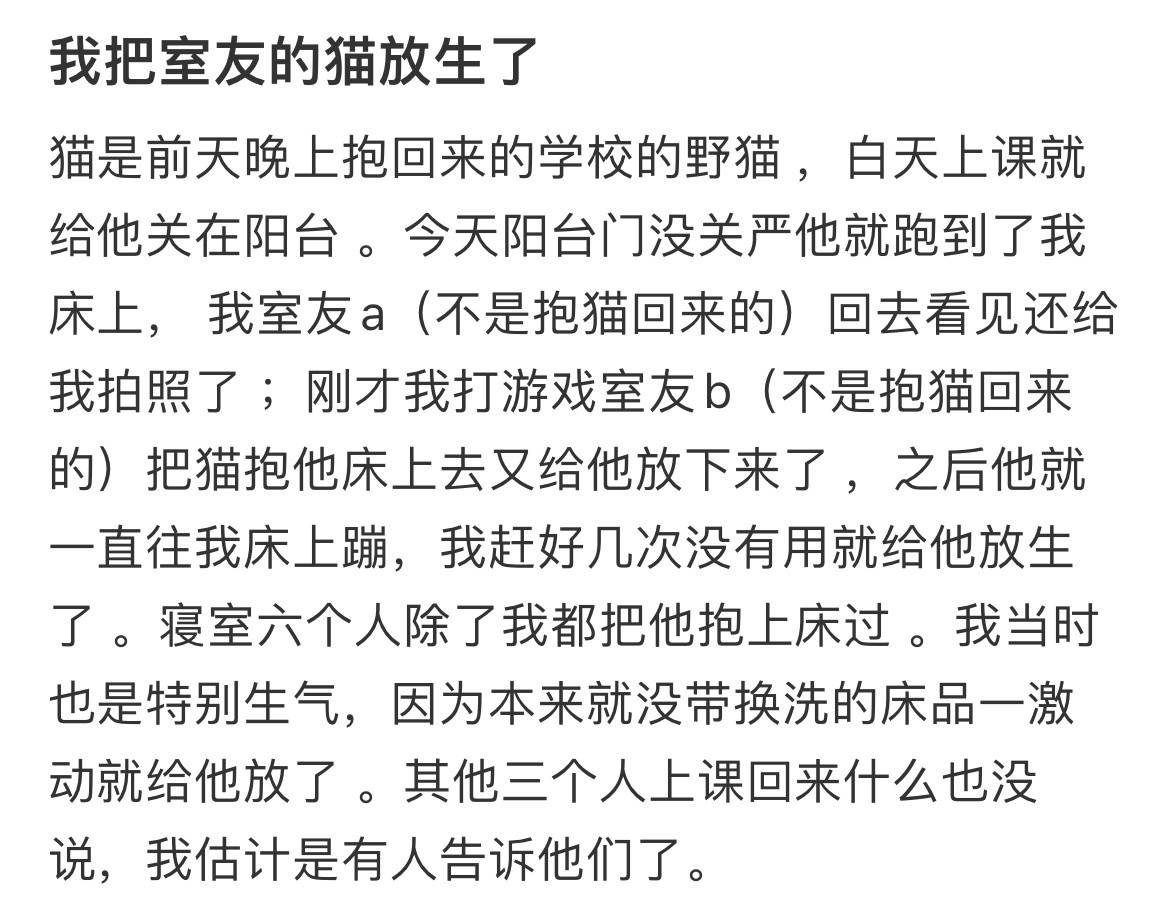 我把室友的猫放生了。
