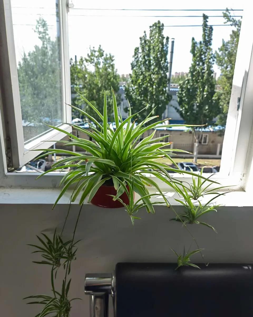 那个让你恨透了的领导和同事。离职第二天，你可能就不恨了。其实你针对的不是