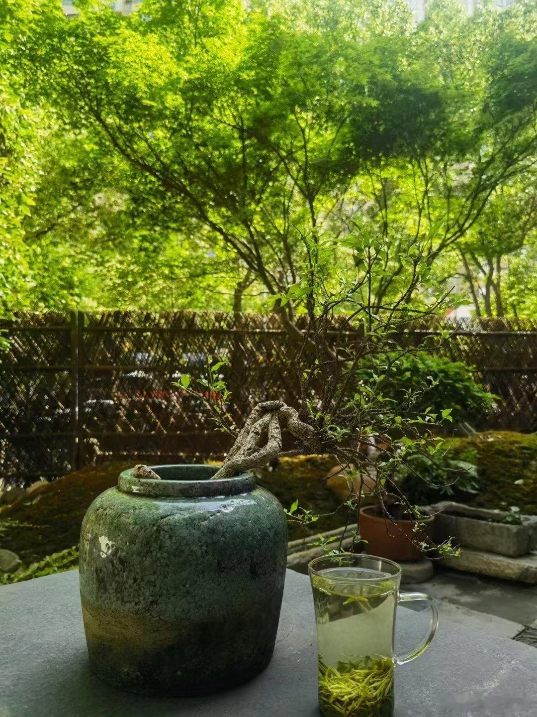 夏浅胜春最可人，美女，不如跟爷吃茶去​​​
