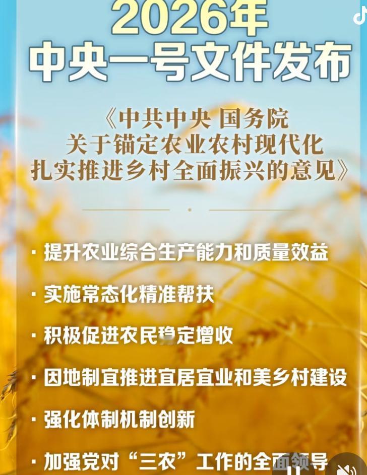 十五五的中央一号文件来了！锚定农业农村现代化，推进乡村全面振兴，促进农民稳定增