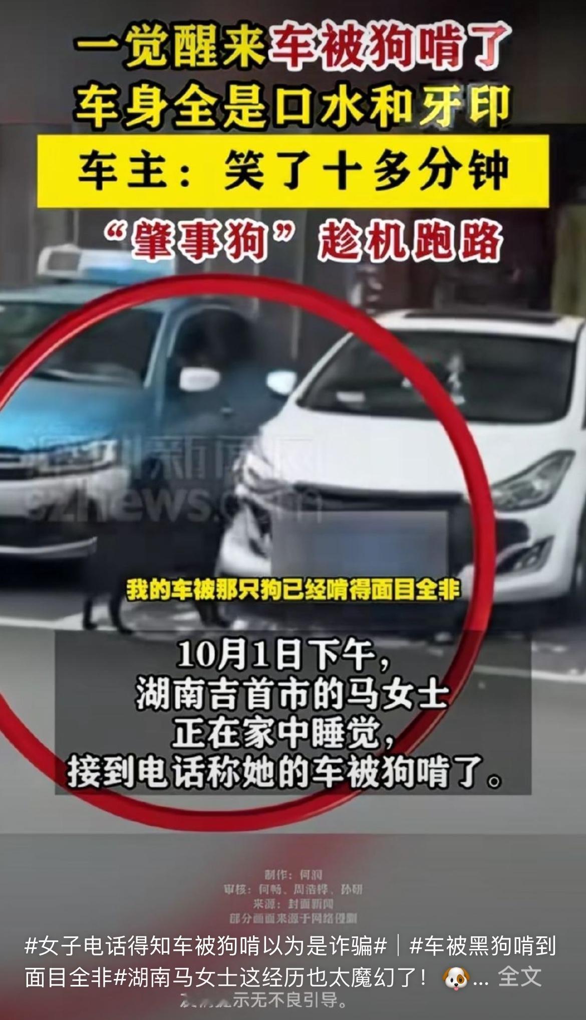 一觉醒来，发现车竟被狗啃了，这情形实在让人哭笑不得！敢情狗子你这么爱撕膜呀！明天