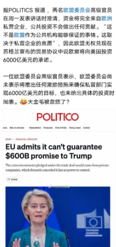欧盟批冯德莱恩无权和川普达成6000亿美元的投资计划，也就是说投不投资美国那是欧