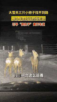 笑不活了，这下科学也解释不清了！近日内蒙古，男子在开车回家时途经一处山路，走着走