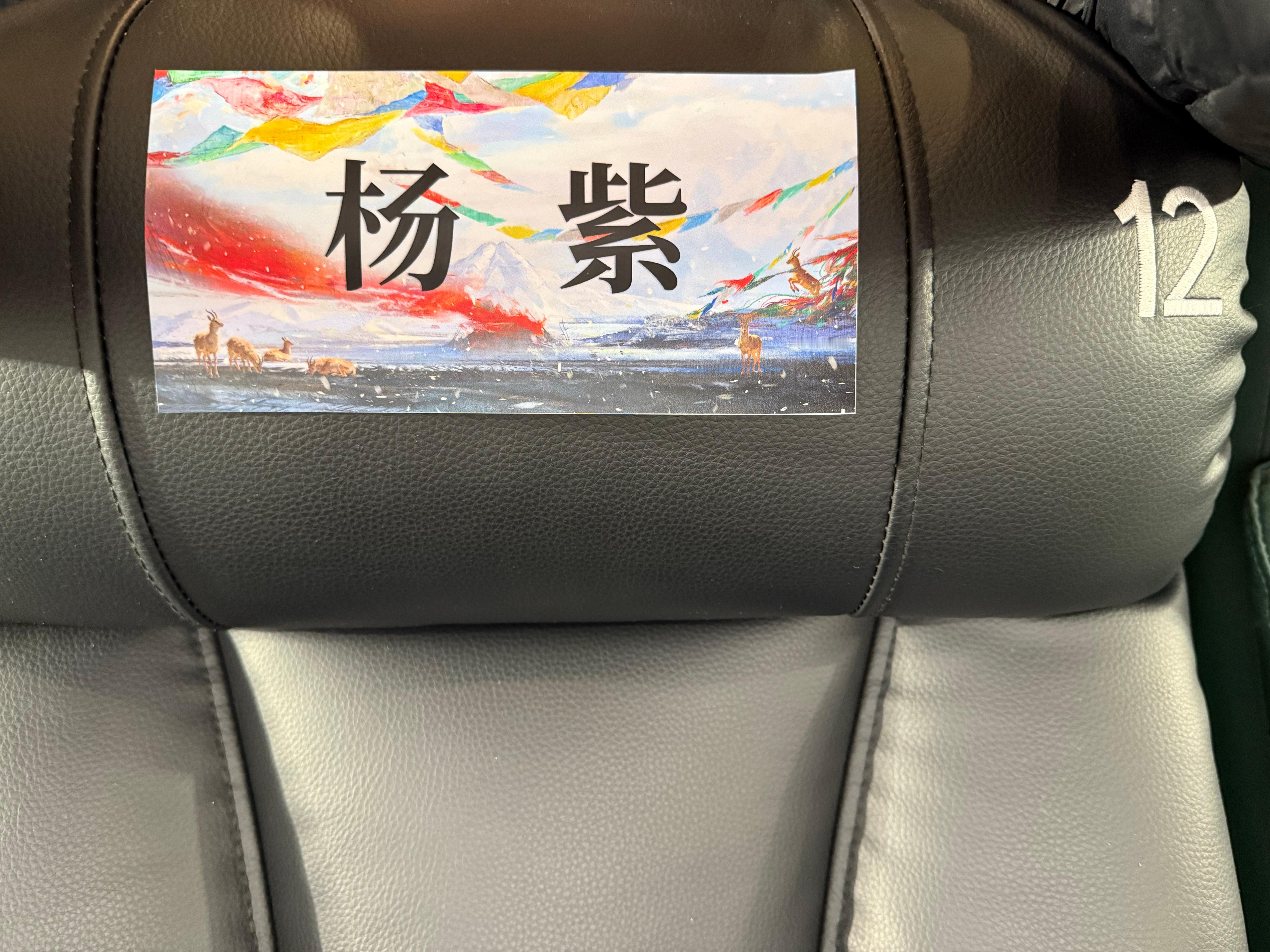 杨紫坐我前面电视剧生命树生命树超前看片反馈生命树探秘无人禁区发布会