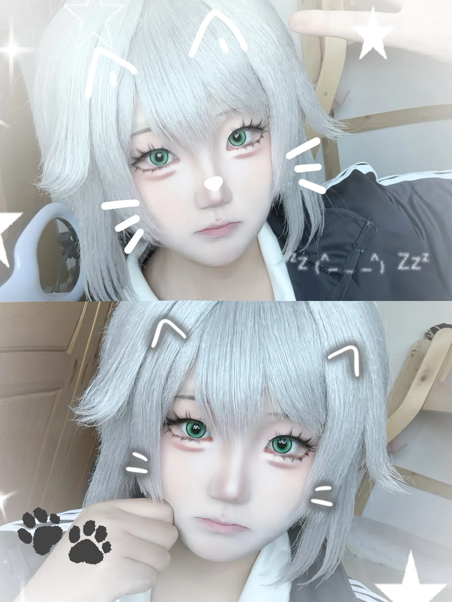 小猫小狗。