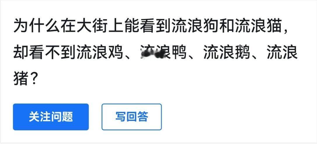 有没有好心人告诉我，哪里有流浪鸡？流浪鸭？流浪鹅？我特别喜欢小动物，顿顿都得有。
