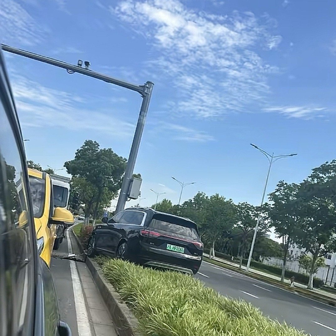 问杆绿化带，海海们又失去一个吠点。​​​