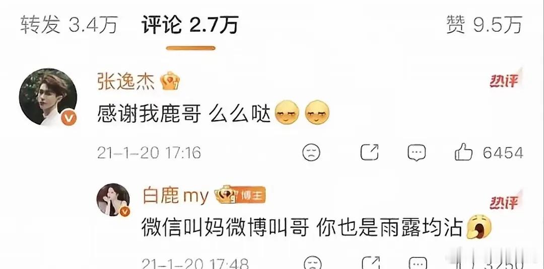 又看到白鹿的新课件21年是不是还很糊所以敢这么说话
