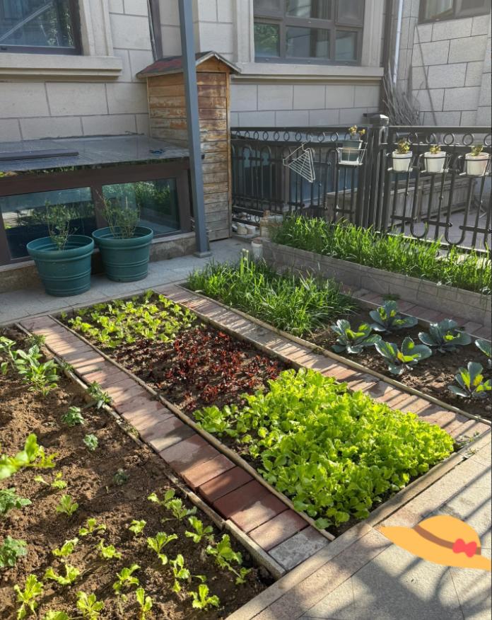 梅婷在北京那套近亿的别墅里，最金贵的不是装修，是公婆打理的400平菜园，