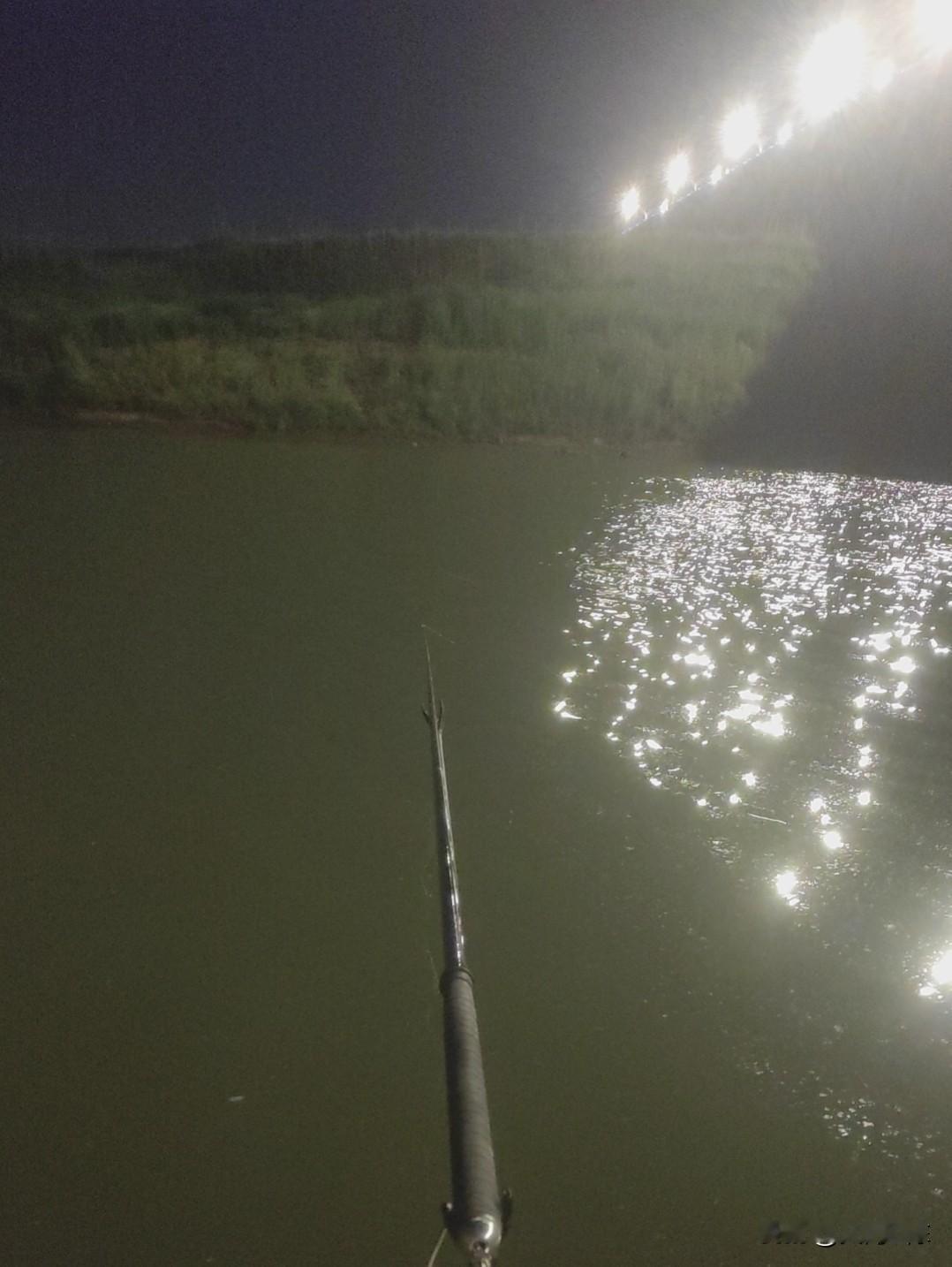 现在鱼难钓真的不一定是没资源，天气温度急上急下得，鱼口都乱了。以前要么早口6