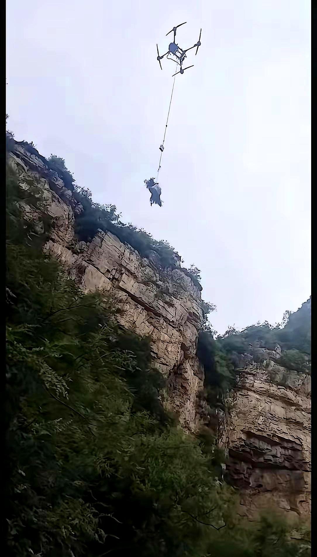 十四天过去，等来的还是那个让人心里一沉的结果：失联的女孩，终究没能回来。更扎眼