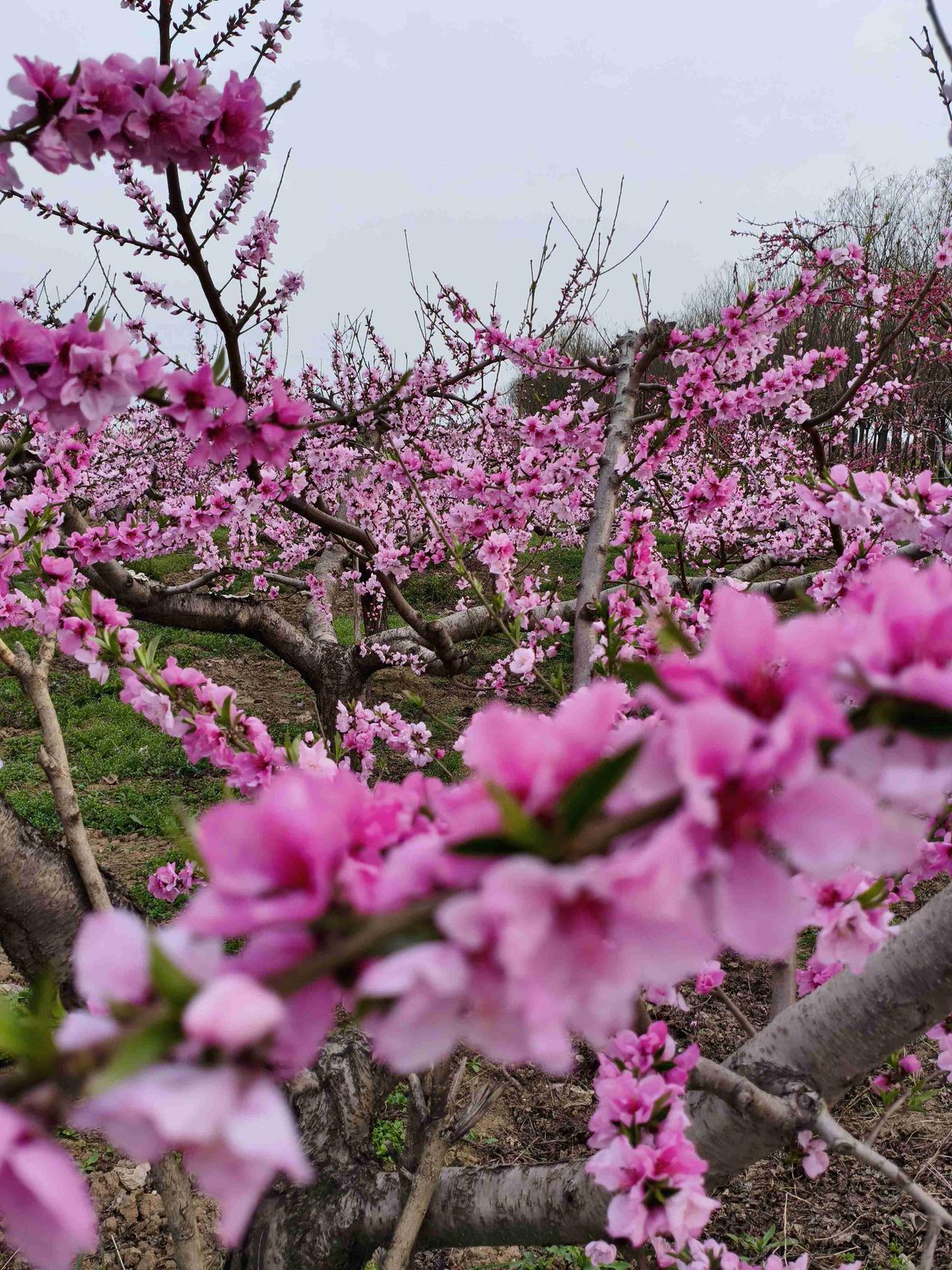 父母有退休金，孩子的生活就轻松好多，你还别不信。我刚上班时，同事的父母退休了