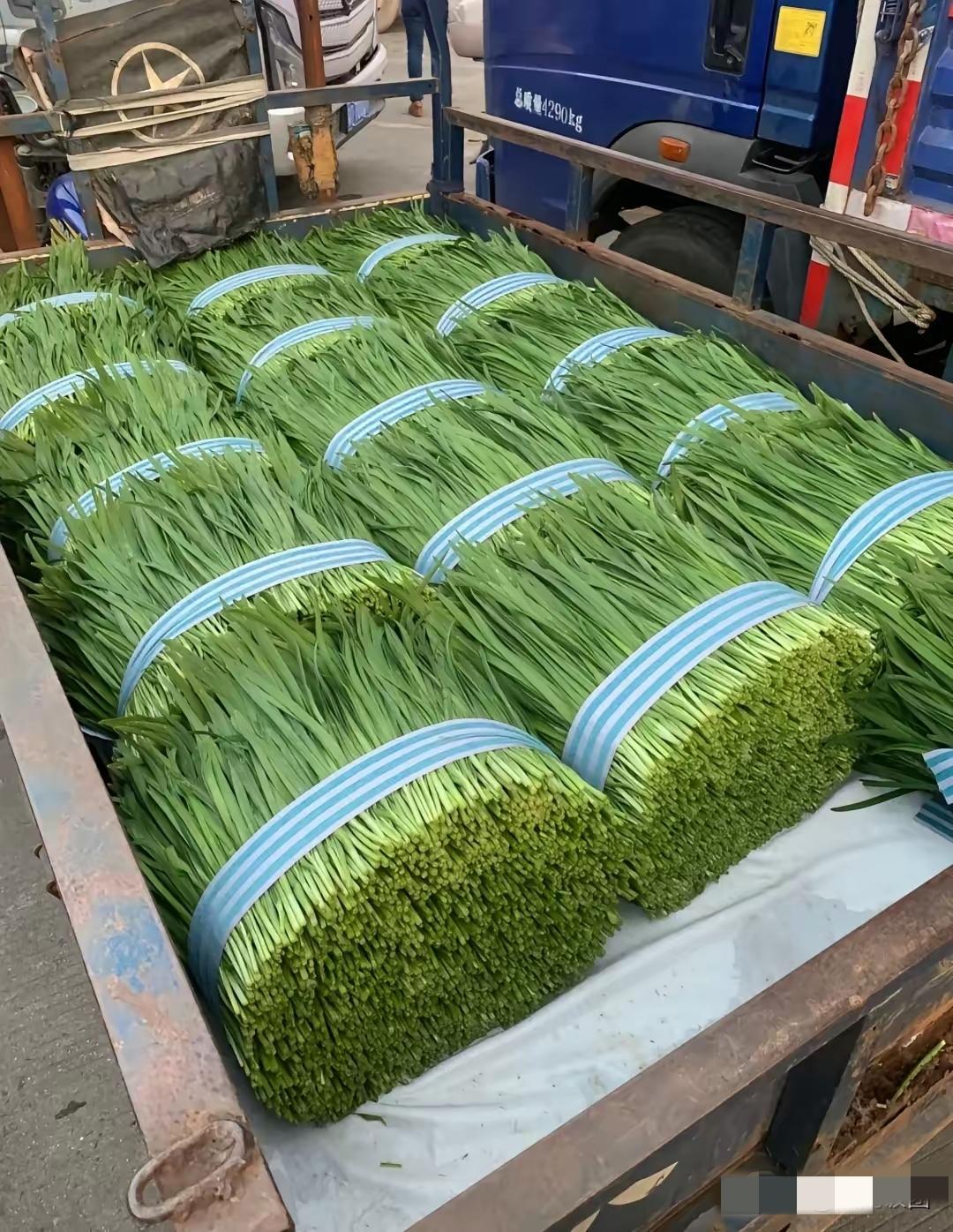 老板在某平台上找了辆小货车拉蔬菜1000公斤，给车主说是1000公斤，反复确认是