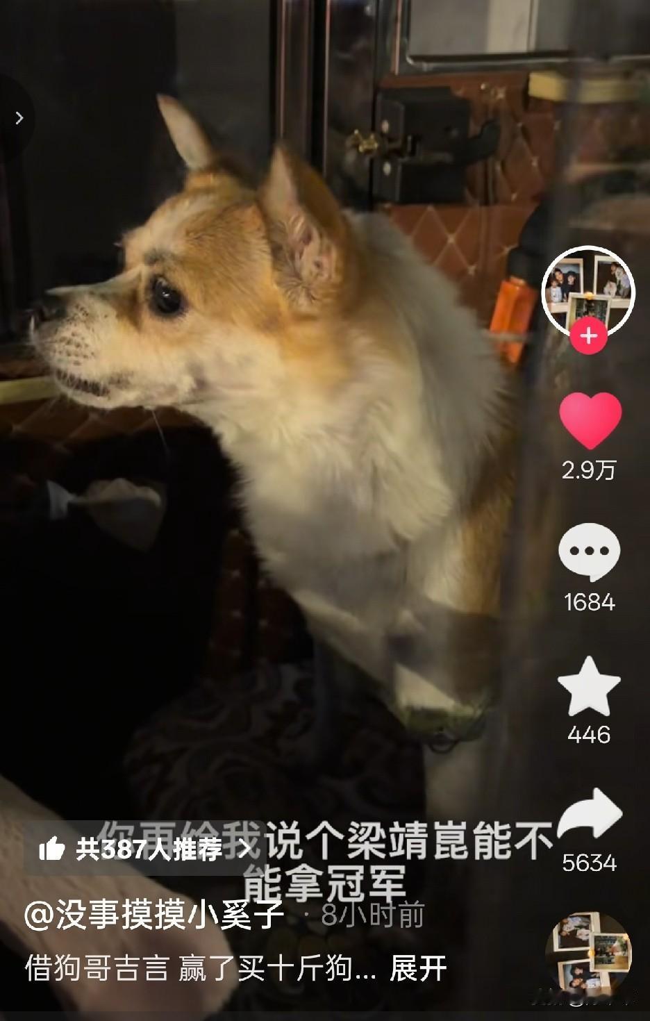 真的被梁靖崑媳妇给笑的不行了，为了让梁靖崑能赢也是啥法子都能想到。这次北满王楚