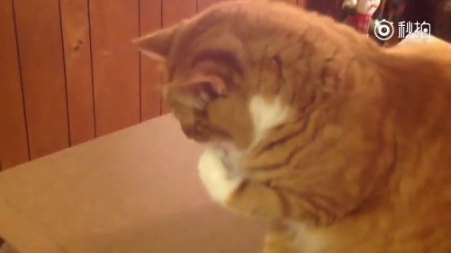 760568591590467700.jpg?id=0