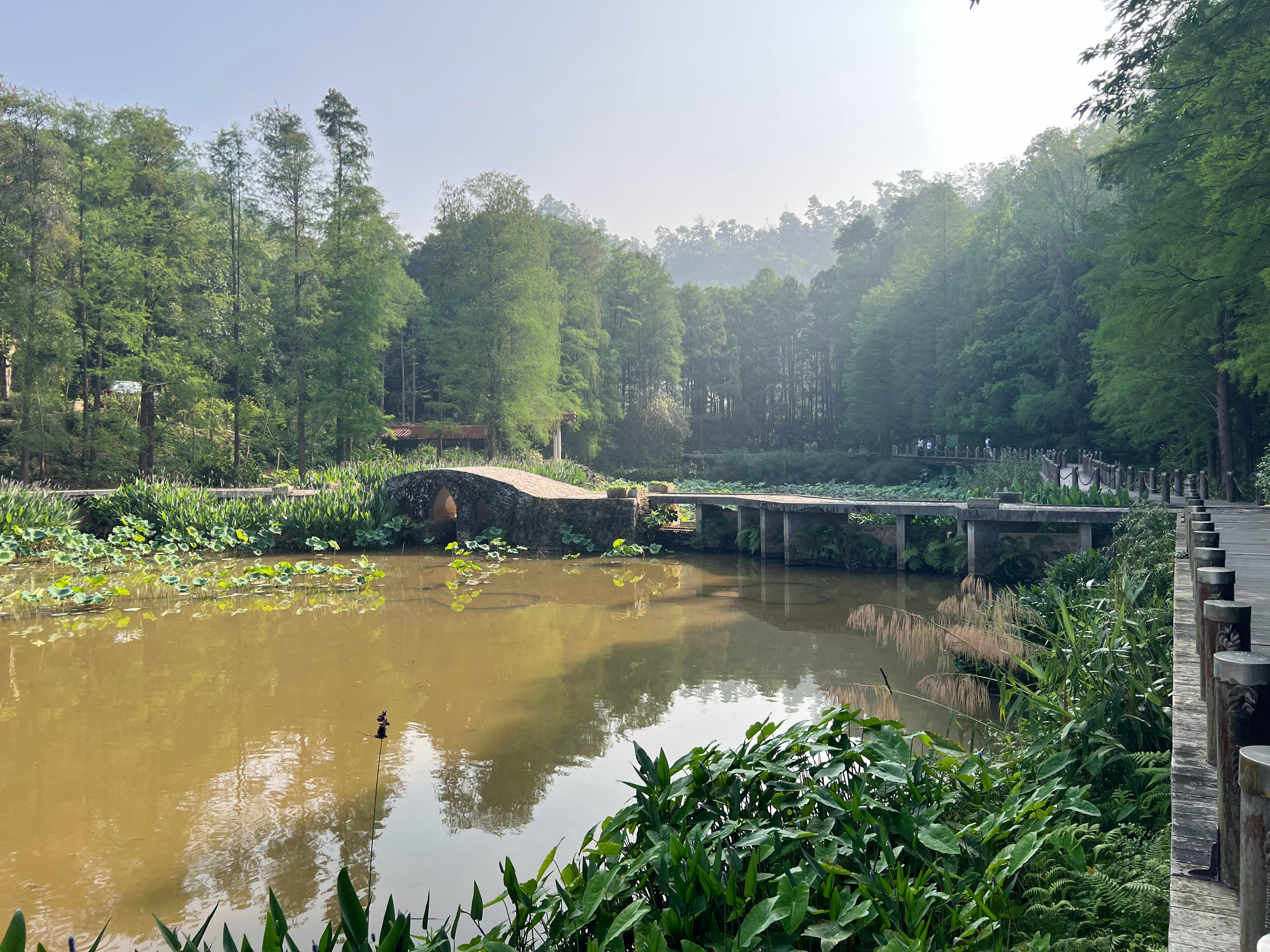 人想要年轻。美丽。漂亮。就要学会吃各种肉。学会吃各种海鱼，海鲜。吃肉，气血足，生
