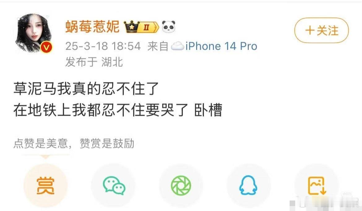 赵露思虞书欣不愧是对家，最近虞书欣干过的事全都被扒出来了[doge]​​​