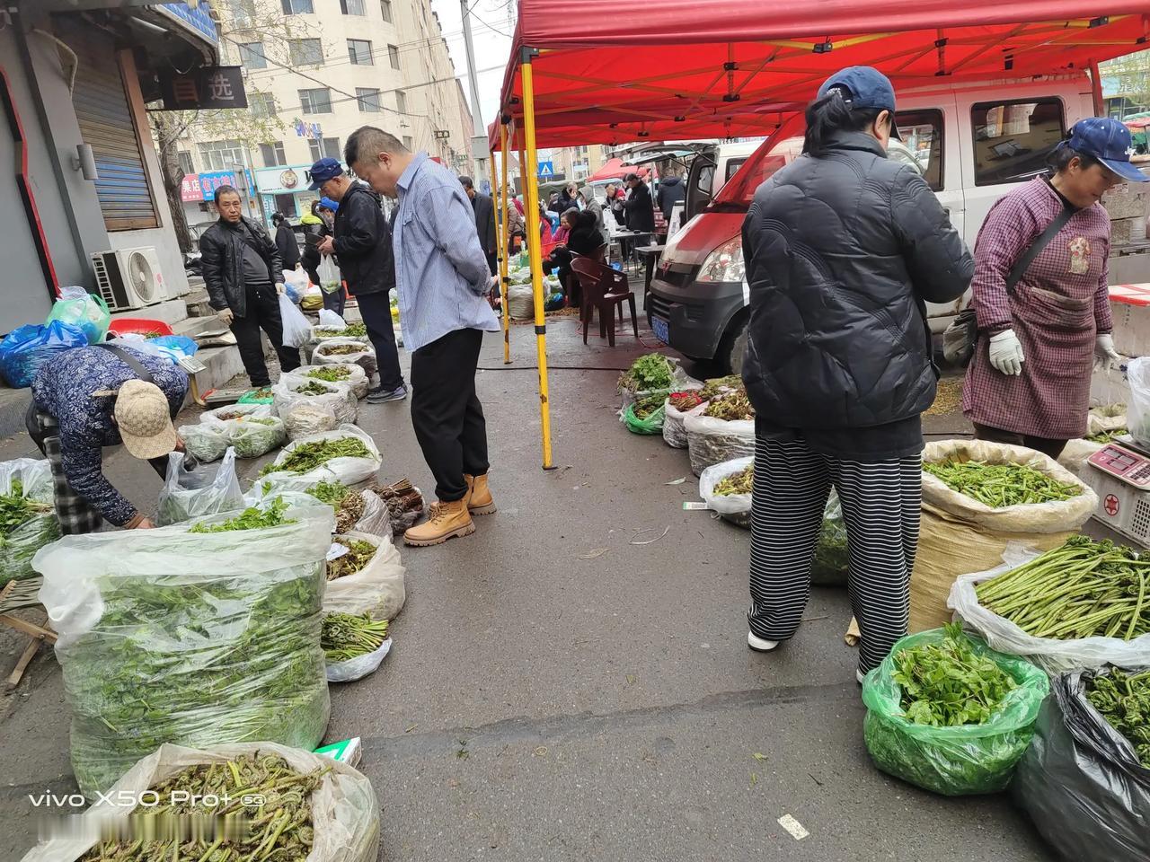 时下正是蛟河山野菜上市旺季，蛟河早市每天都有几百个摊位卖山野菜，从今早开始这些卖