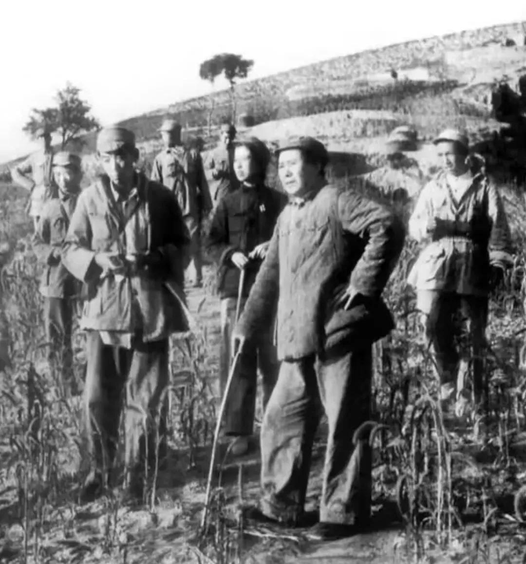 一起吃大灶在延安，毛主席和其他中央领导同志都是和中央机关工作人