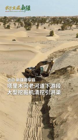 沙漠里的“生命之河”！塔里木河20年治理，让断流河道重涌碧波，胡杨焕生机在