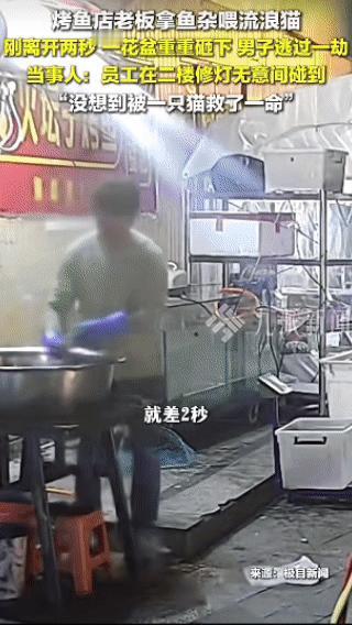 “这就是命啊！”贵州，一烤鱼店老板在门口杀鱼时，看见一只流浪猫过来讨要食物，于是