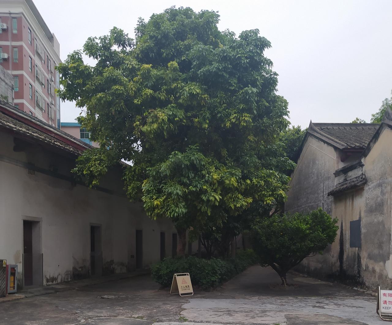 万般都是命，半点不由人。我们人生的96%都不是自己可以决定的，我们的出身，我们