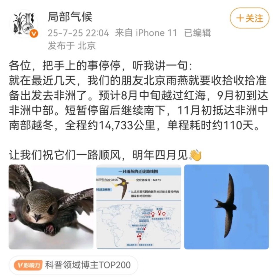 有点像文淇这种恋夏一族的梦想，盛夏就从北方出发一路南下，不停留地只为追逐太阳