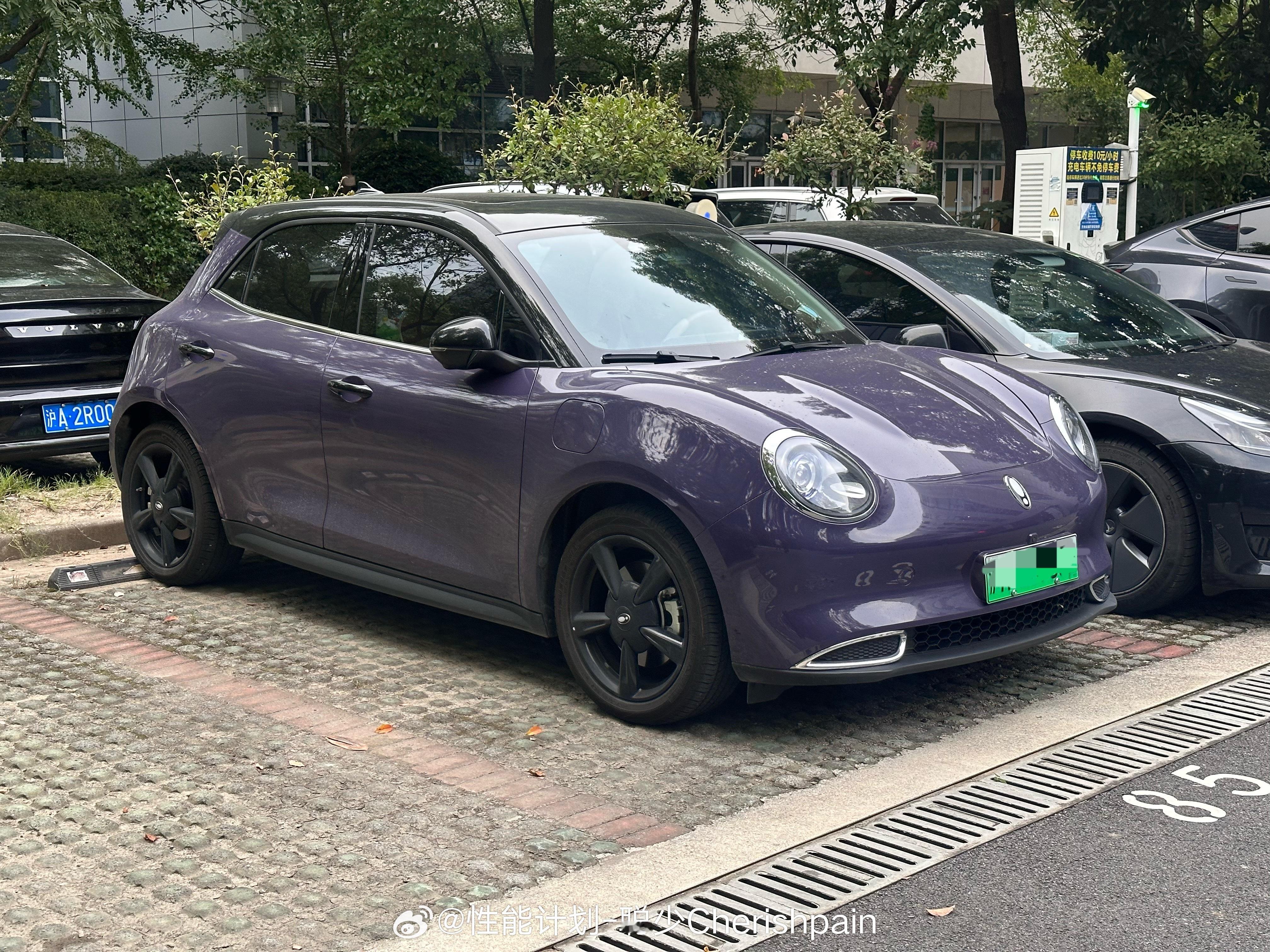 这欧拉也算是把保时捷911GT3RS的Ultraviolet紫整明白了，小🐸