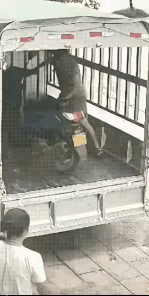 交警查扣的违章电瓶车，雇男子用小货车送到停车场。男子知道只要送到地方就行，没有人