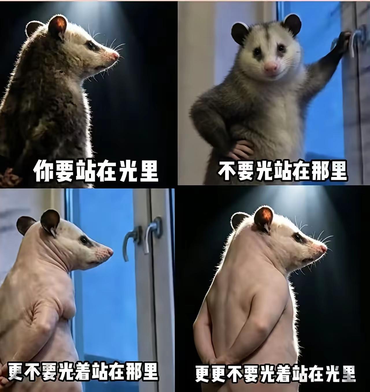 这个要给老外看到了还不得疯了啊！[汗]