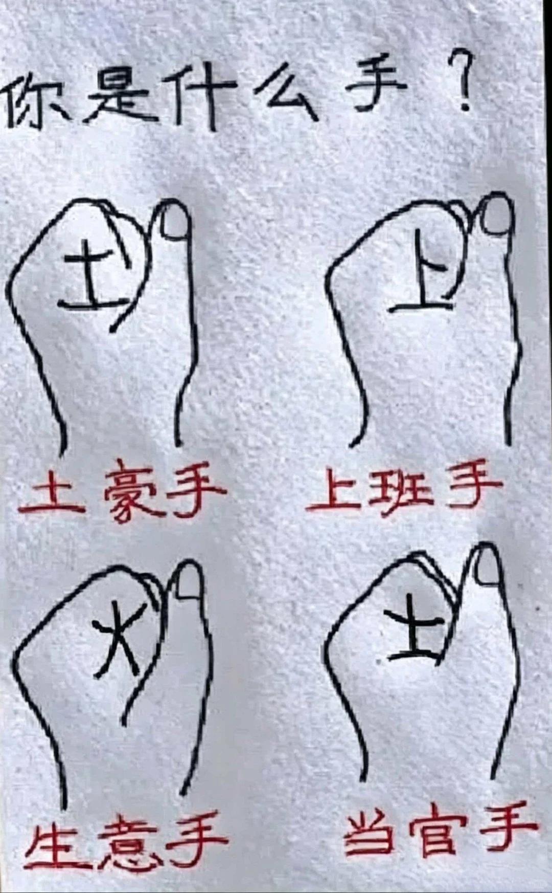 来来来......看看你是什么手？