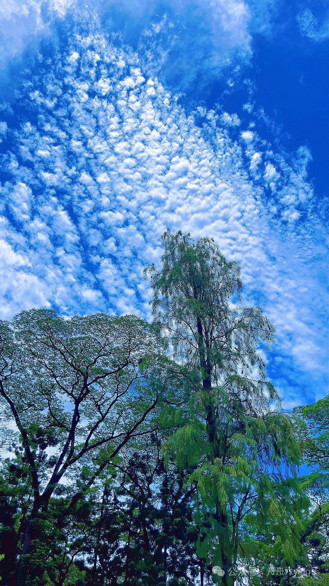最聪明的星座就是天蝎座，天蝎座的智商非常高，非常细腻，对事情的判断非常准确