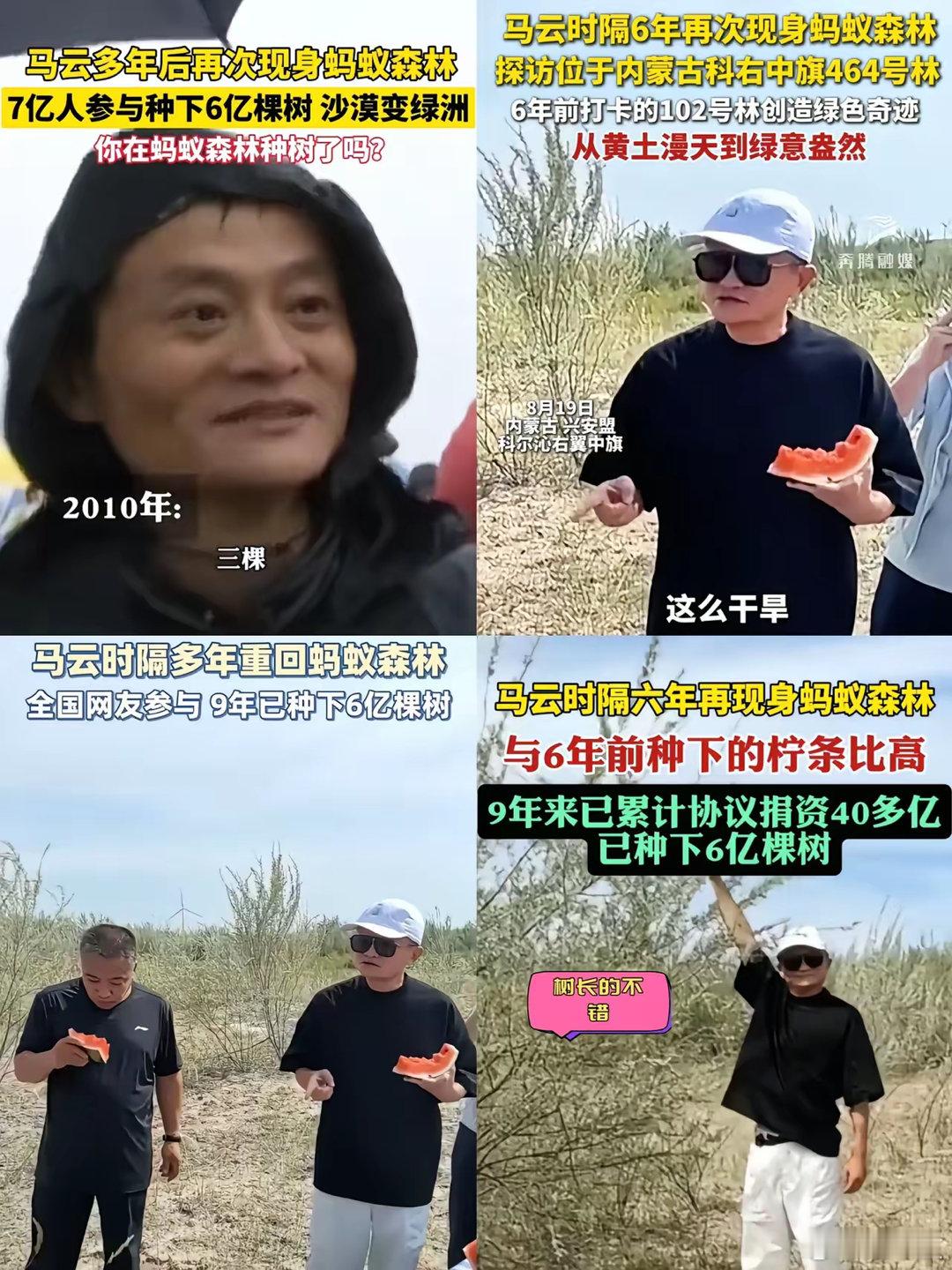 马云八年前种下的虚拟树苗，你们种了几颗​​​
