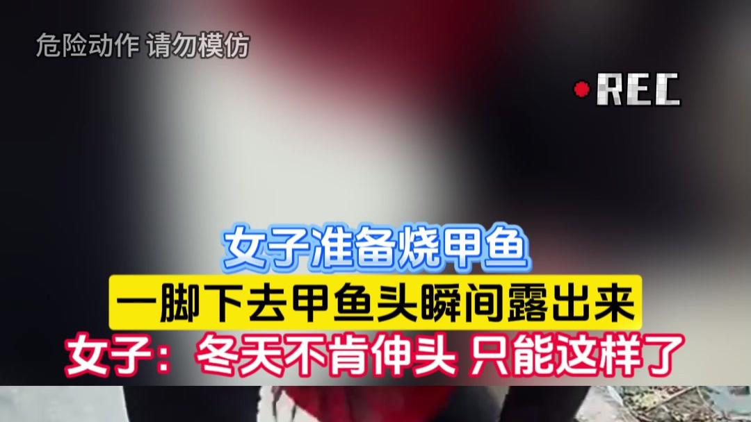 女子妙招：寒冬甲鱼头现形记，脚踩法惊呆众人