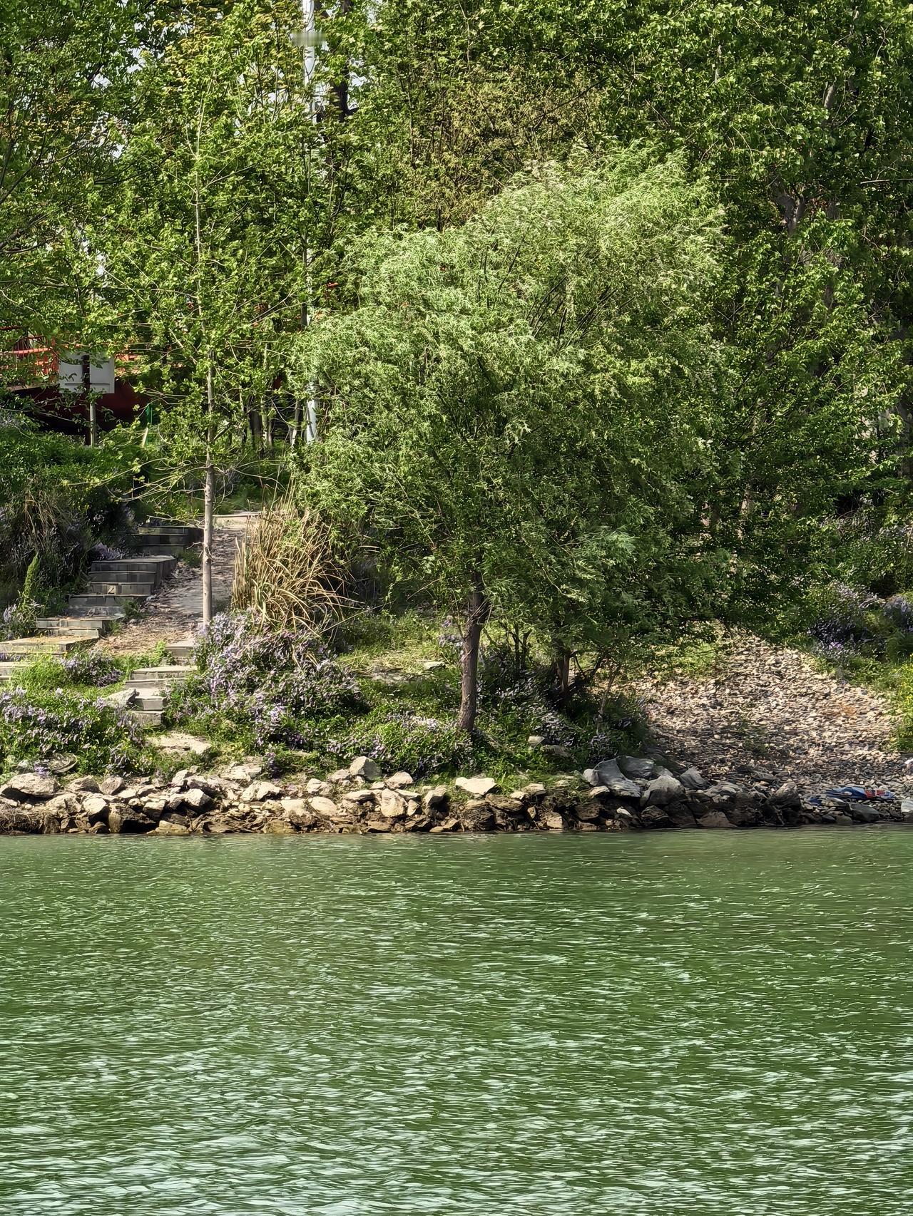 圣人成仙以后，就与家人彻底断绝了亲情关系，从此只当作陌生人看待。对此，有人可能会