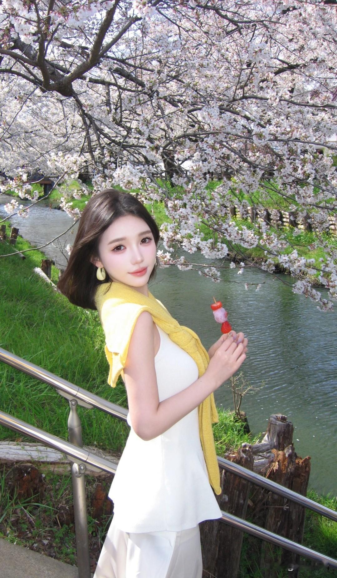 樱花树下，优雅少女，静谧时光。