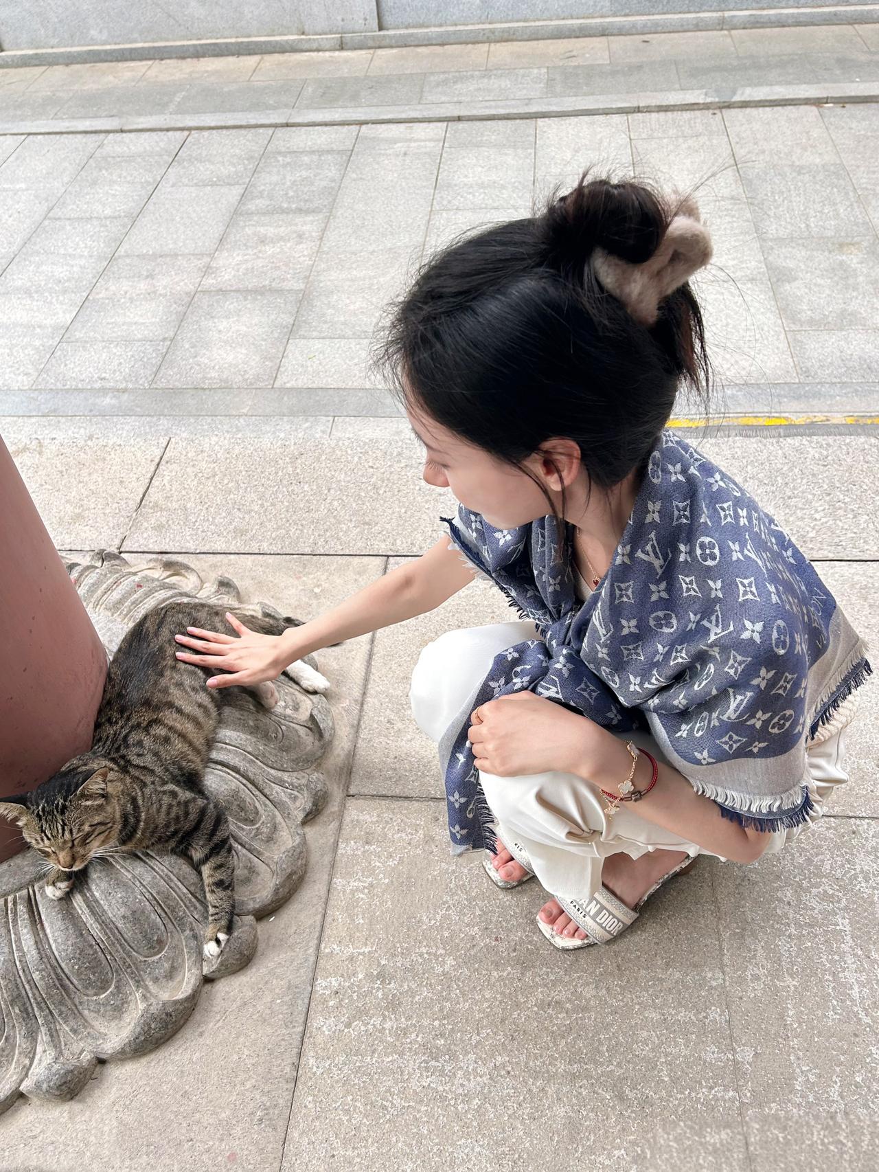 我和狸花谁可爱？