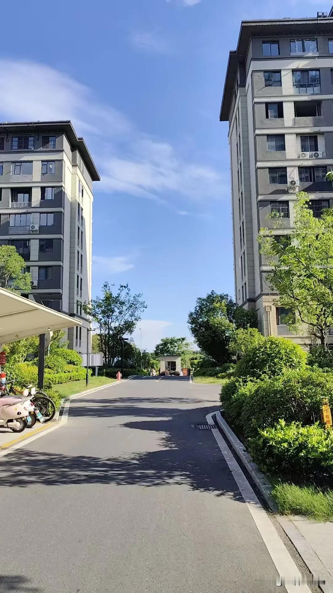 我不馋海鲜。原来是我不会烧。两大妈在吾悦广场的前面，坐在长木椅上等公交。有一搭没