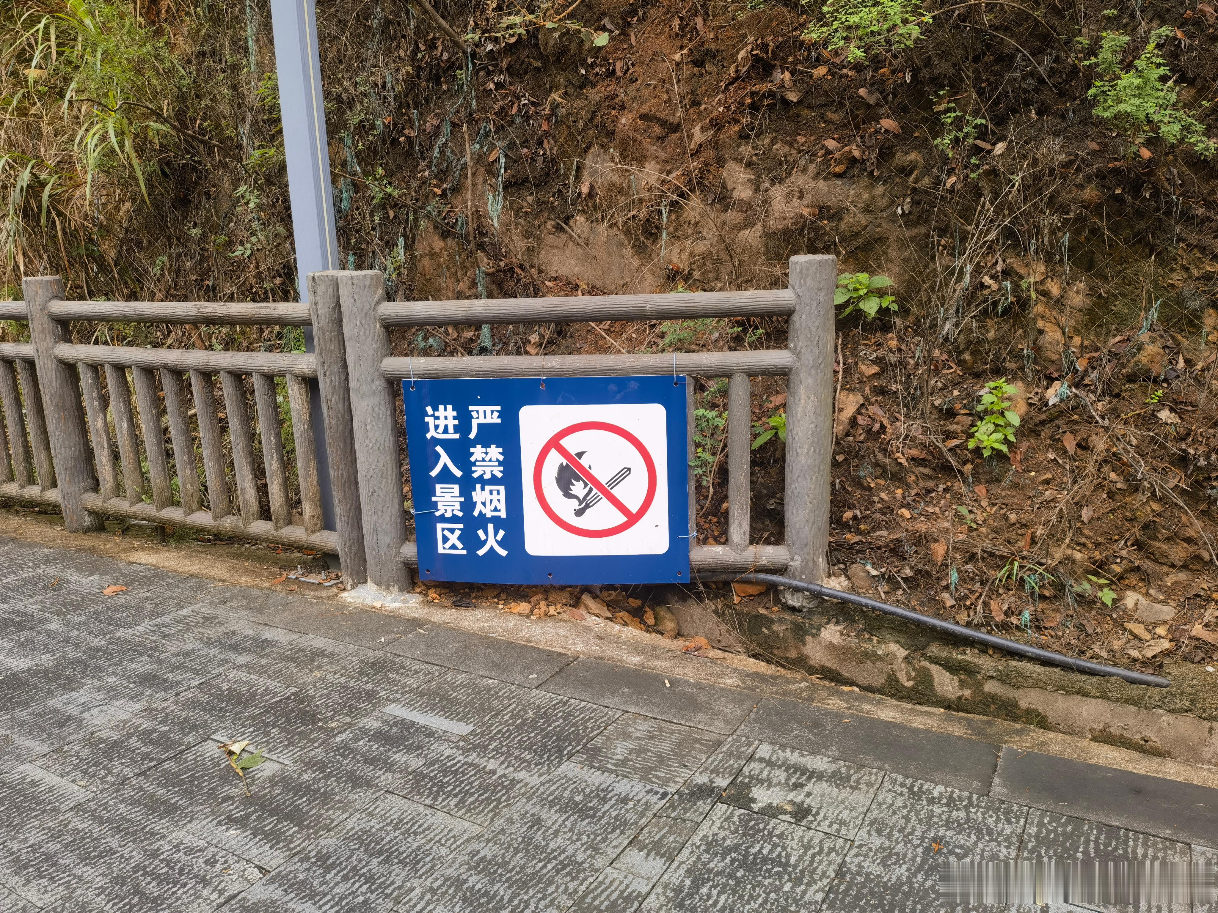 国庆第5天，假装在旅游[抠鼻][抠鼻]洛阳旅游攻略​​​