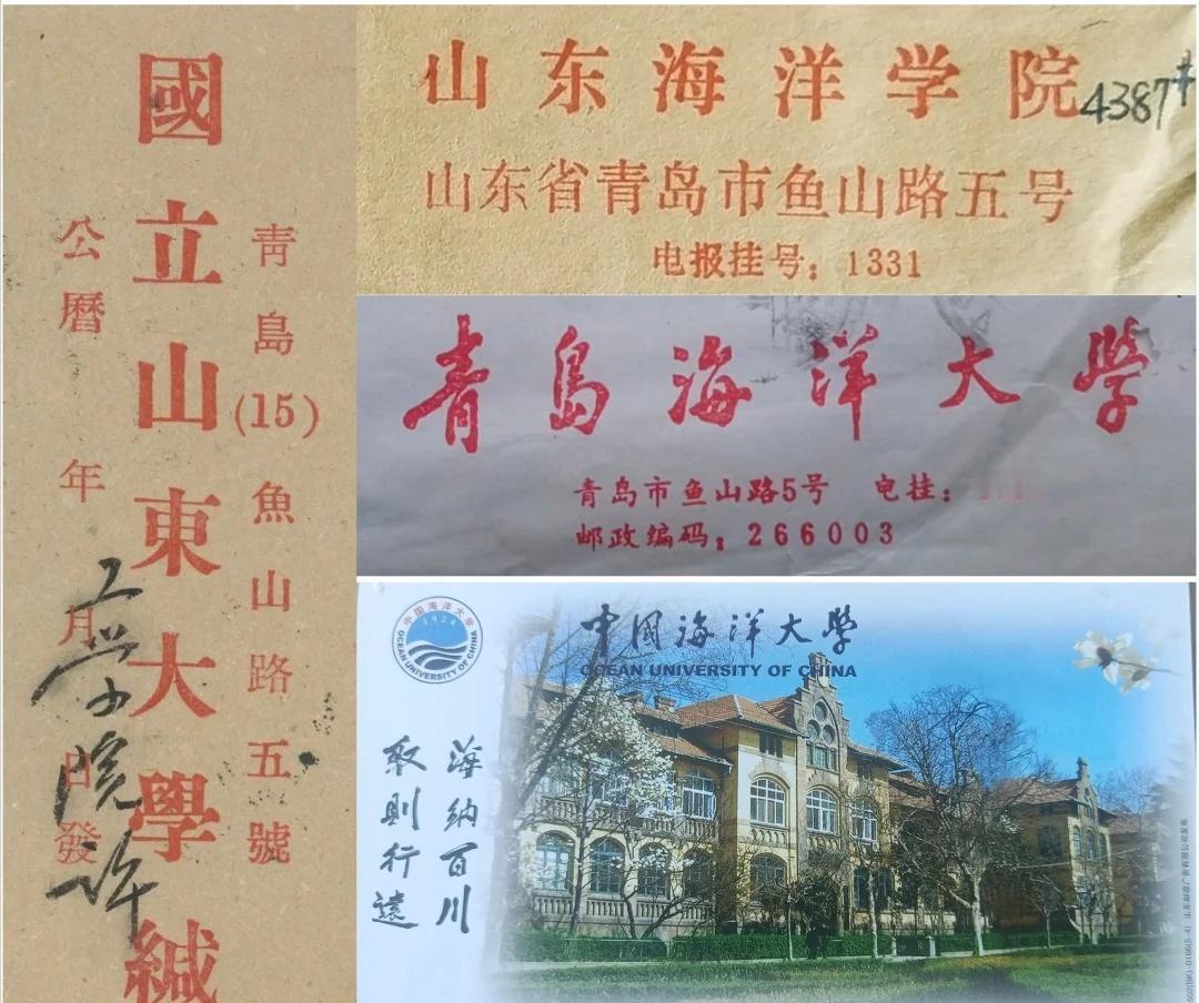 青岛鱼山路5号｜山东大学的根留在了海大🌊1958年的青岛，正经历着一场安静却
