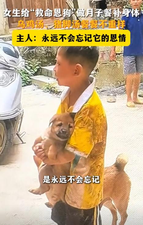 “万物皆有灵！”9月4日，广西贺州，一只家里的土狗在生下了5只小狗后，竟被主人亲