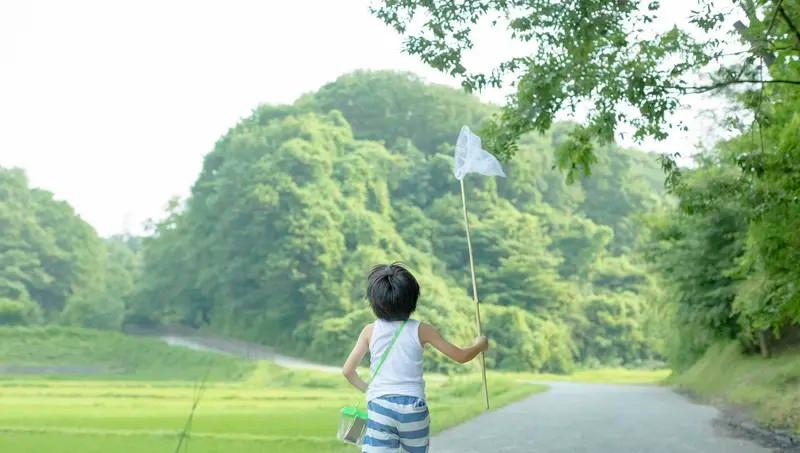 63%离家出走的男孩，家里并不缺钱他们缺的是一句“今天过得怎么样”数据把