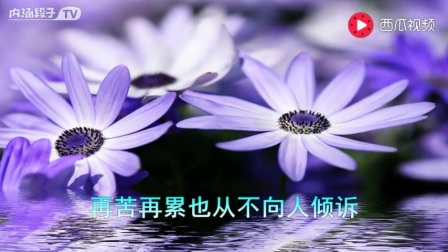 金久哲嗑儿曲谱