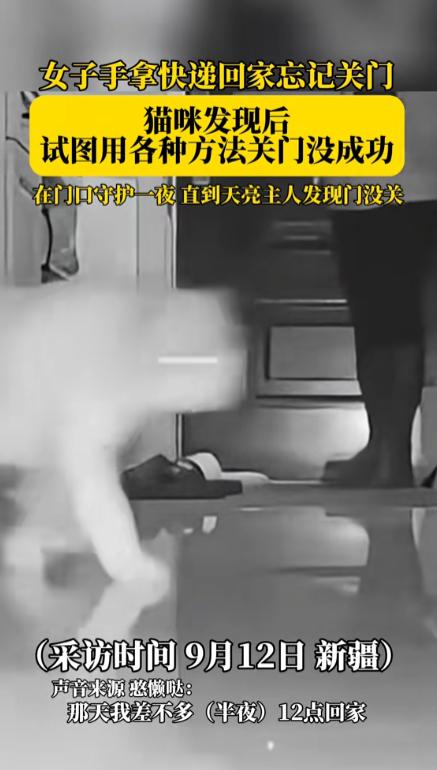 太有灵性了！新疆，一女子半夜回家时忘记关门，洗漱完后就去睡觉了，家里养的猫咪发现
