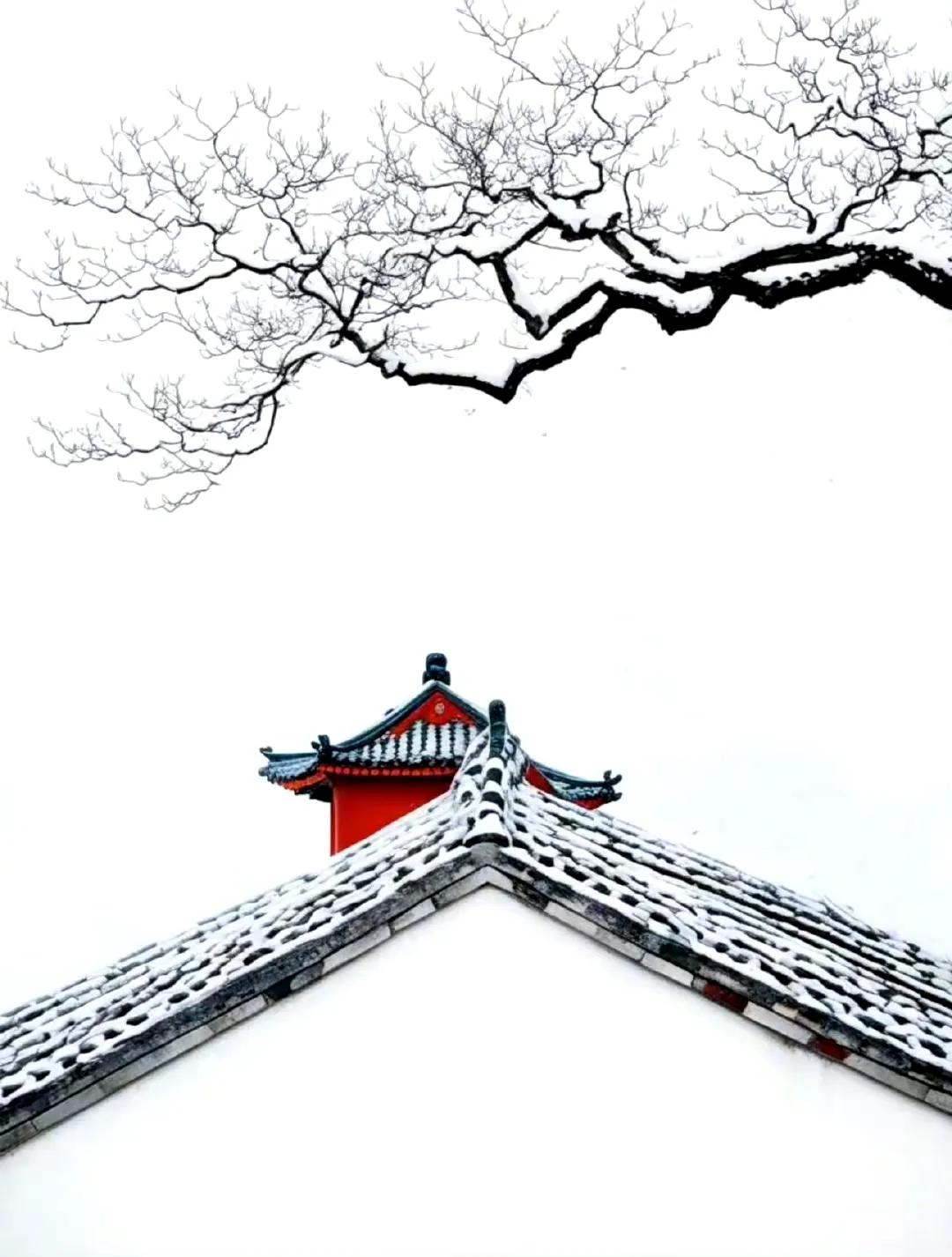 中式美学里的留白，有着独特的含蓄美。就像中式庭院，寥寥数景便勾勒出无尽意境。荷