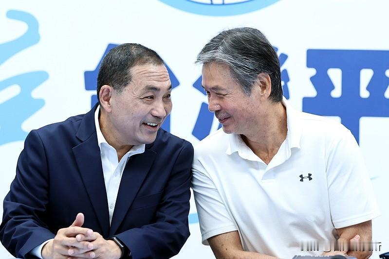 侯友宜接任国民党主席？你们能想象吗？这是今天新北市议会传出来的消息有人问