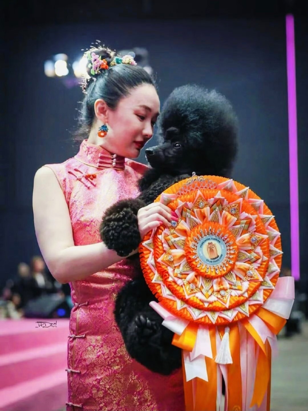 有钱人都是在鸡娃，培养接班人，霍思燕确是在培养小鸟，小猫，小狗