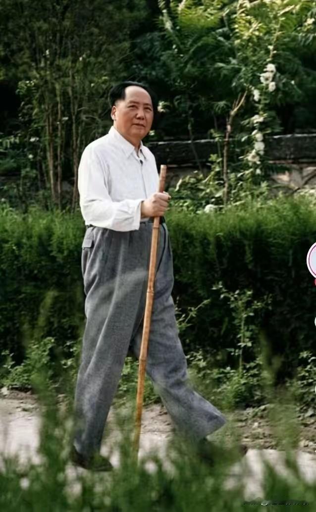 📸照片解读这张照片是1961年毛泽东同志在江西庐山的经典影像（由摄影师