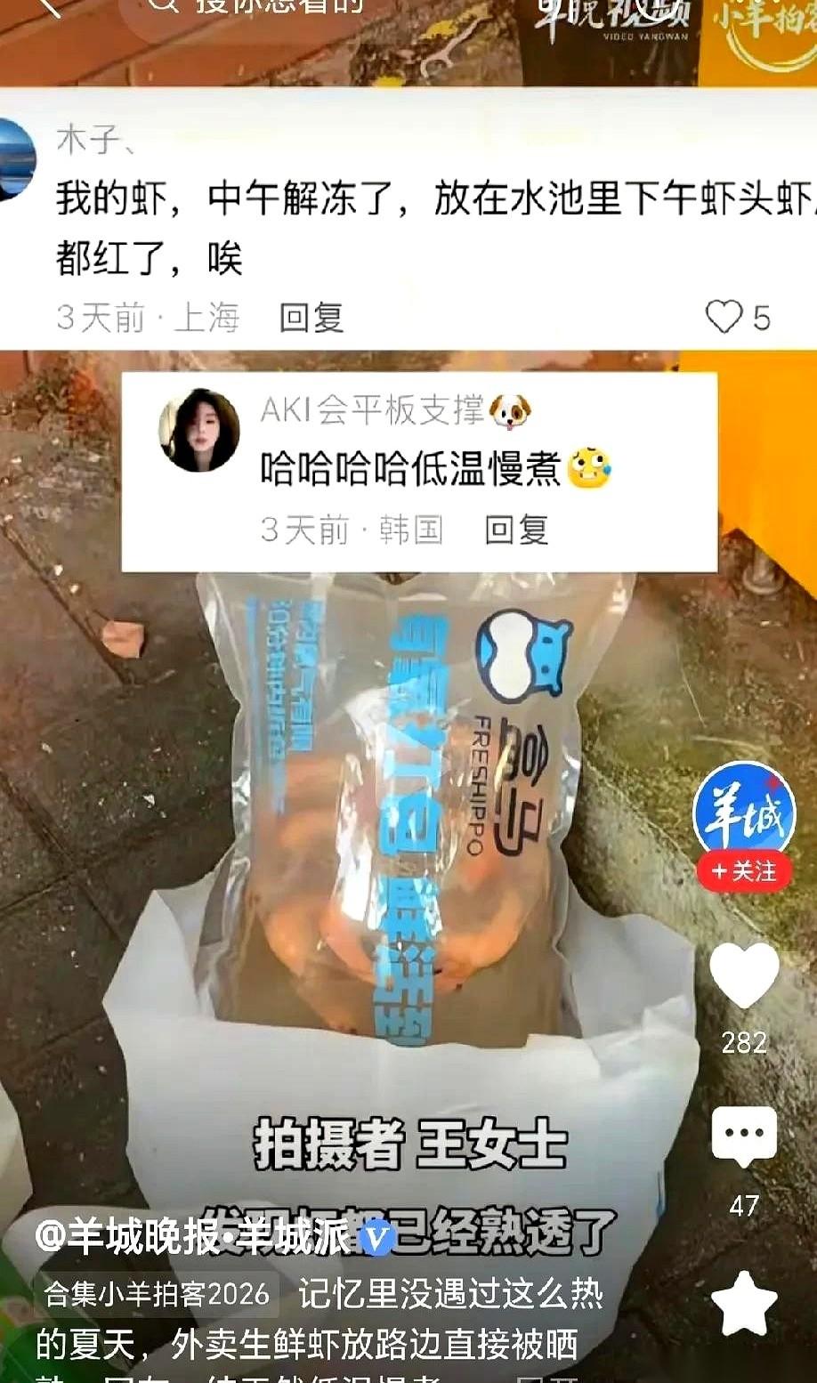 上海街头，一袋活蹦乱跳的青壳虾被人遗忘在马路边。24小时后，它们原封不动地躺在原